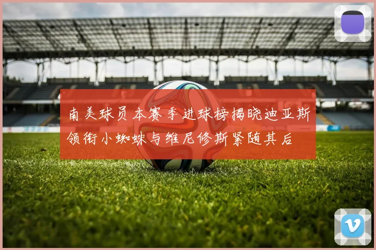 南美球员本赛季进球榜揭晓迪亚斯领衔小蜘蛛与维尼修斯紧随其后