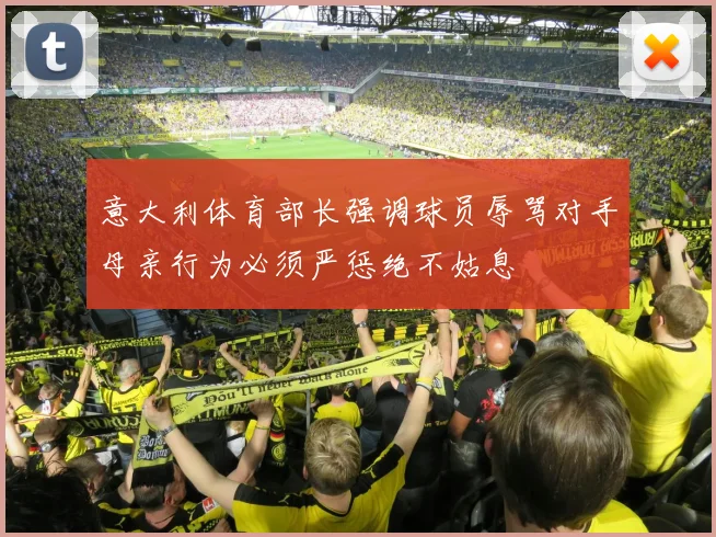 意大利体育部长强调球员辱骂对手母亲行为必须严惩绝不姑息