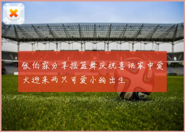 张伯霖分享摇篮舞庆祝喜讯家中爱犬迎来两只可爱小狗出生